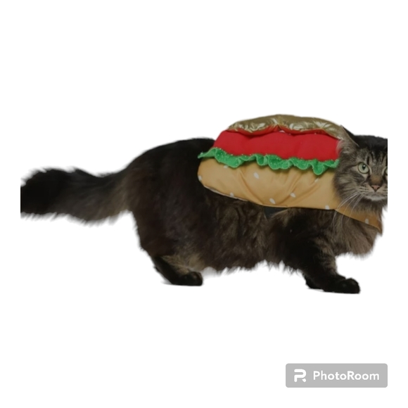 Hot Dog  Dog/Cat Costume - Picture 2 of 9